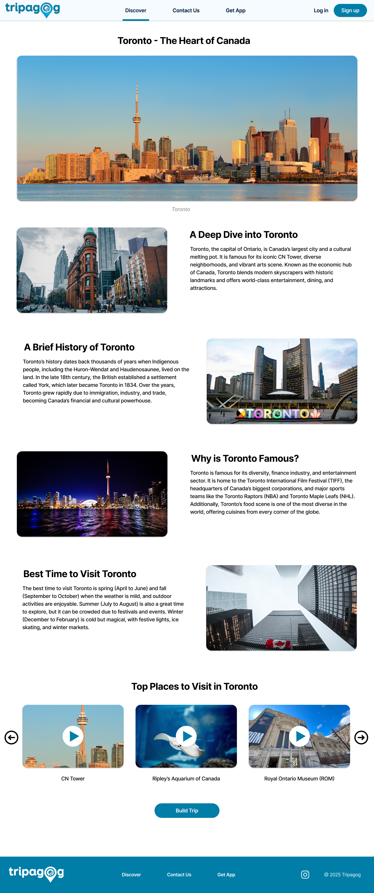 High-Fidelity Wireframes and Logo